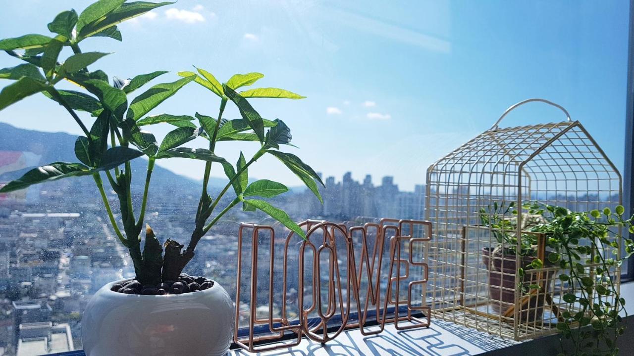 大邱Dg House公寓 外观 照片
